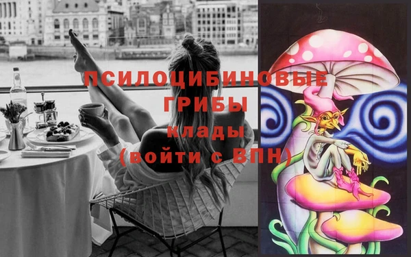 гидра Алексин