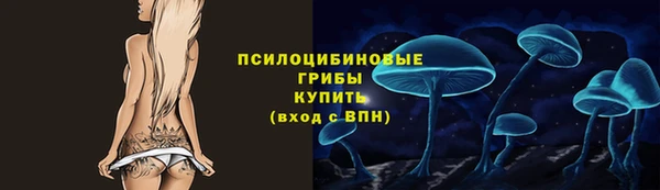 гидра Алексин