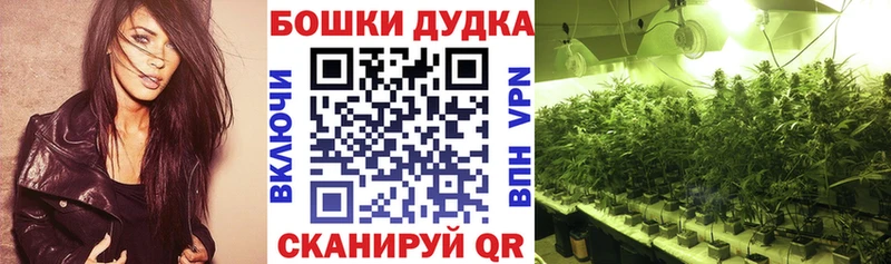 Шишки марихуана индика Арамиль
